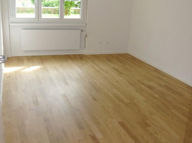 Apartment mieten in Killwangen, Aargau