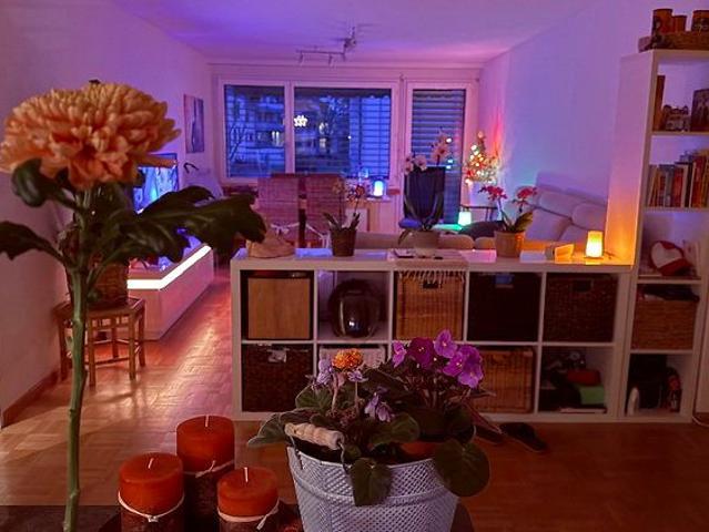 Apartment mieten in Illnau-Effretikon, Zürich