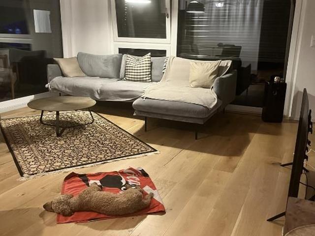 Haus mieten in Horgen, Zürich