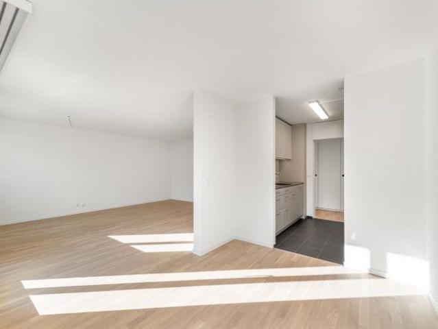 Apartment mieten in Lü