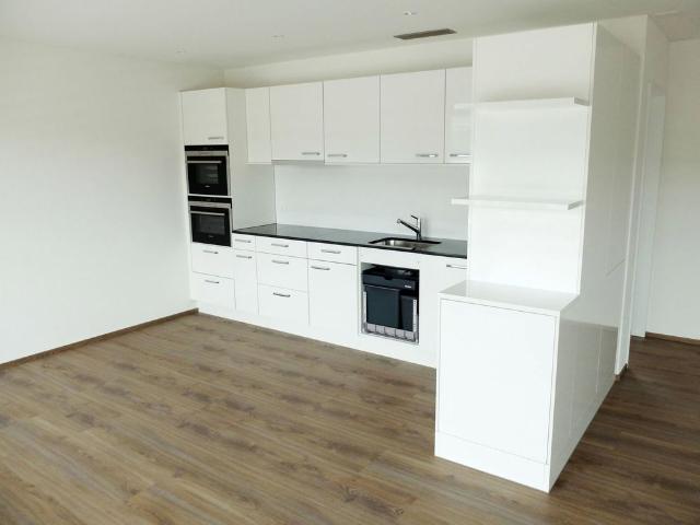 Apartment mieten in Menziken, Aargau