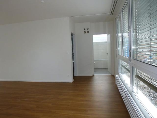 Apartment mieten in Muttenz, Bezirk Arlesheim