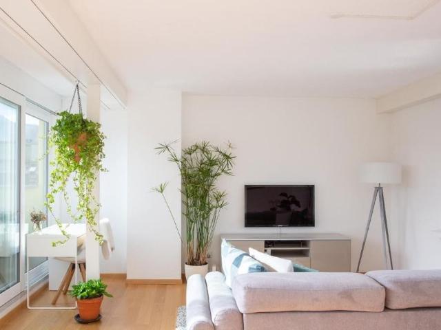 Apartment mieten in Lü