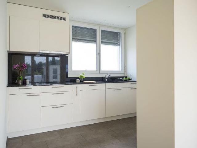 Apartment mieten in Beinwil am See, Aargau