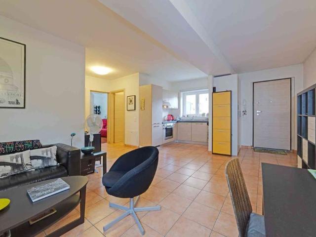 Apartment mieten in Caslano, Tessin