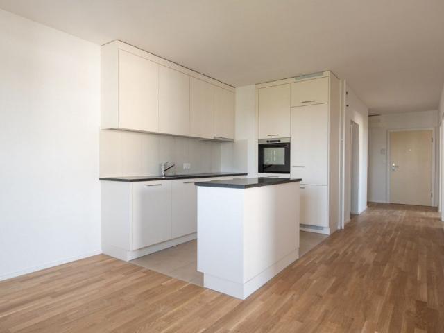 Apartment mieten in Villars, Freiburg