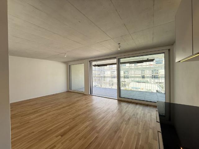 Apartment mieten in Gunzgen, Solothurn