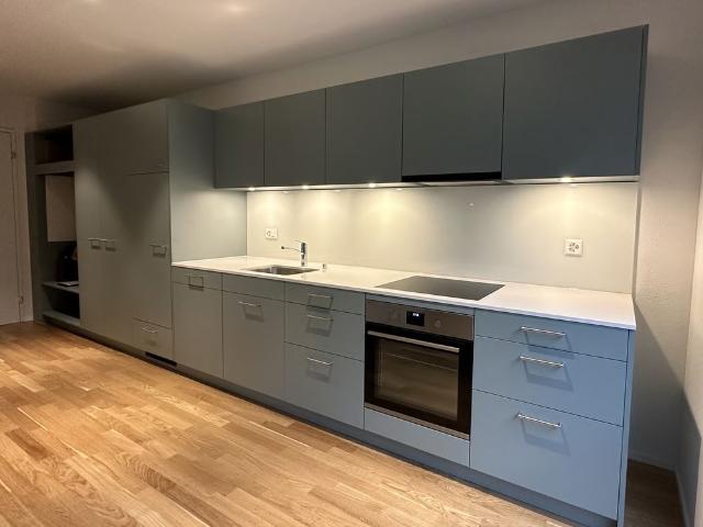 Apartment mieten in Basel, Basel-Stadt