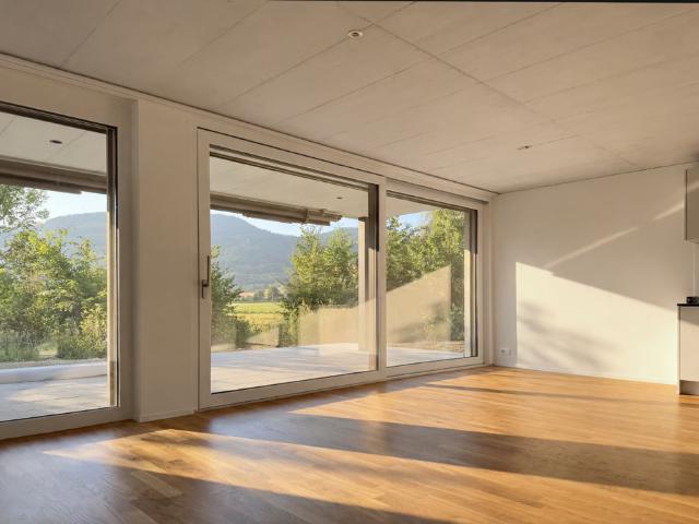 Apartment mieten in Gunzgen, Solothurn