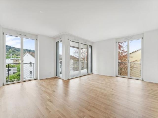 Apartment mieten in Alt-Wiedikon, Zürich