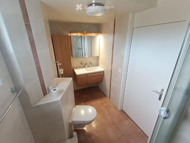 Apartment mieten in Crissier, Waadt