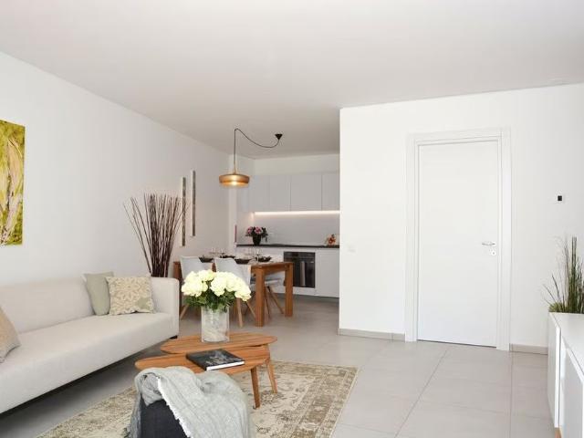 Apartment mieten in Paradiso, Tessin