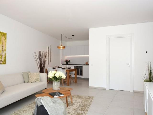Apartment mieten in Paradiso, Tessin