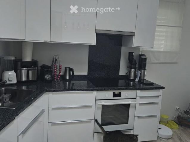 Apartment mieten in Bissone, Tessin