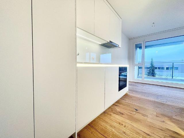 Apartment mieten in Hägendorf, Solothurn