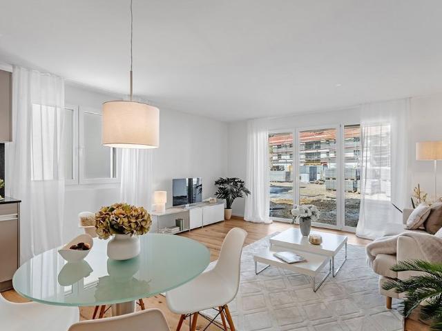 Apartment mieten in Birrhard, Aargau