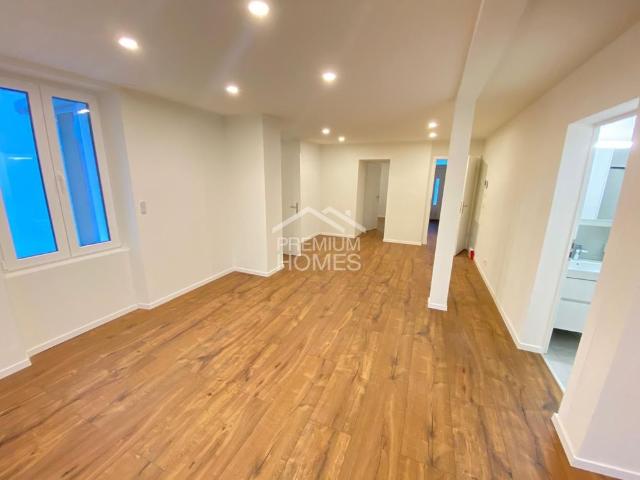 Apartment mieten in Schönenwerd, Solothurn