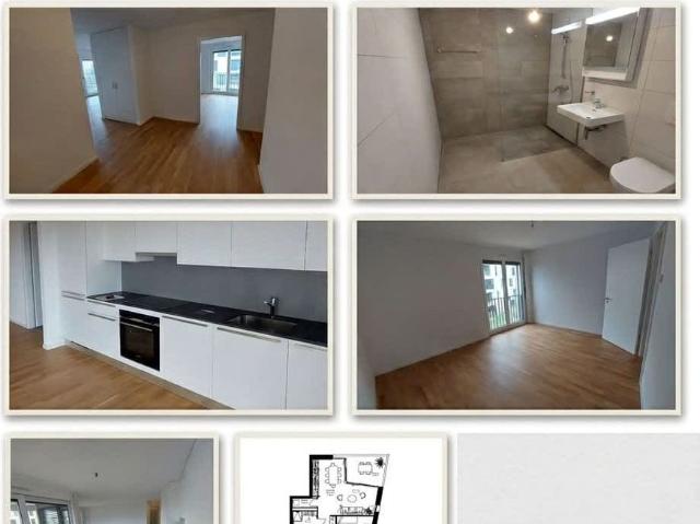 Apartment mieten in Orbe, Waadt