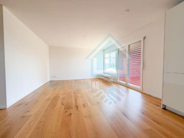 Apartment mieten in Sarmenstorf, Aargau