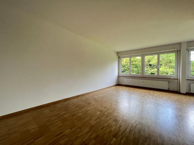 Apartment mieten in Kleinbasel, Basel
