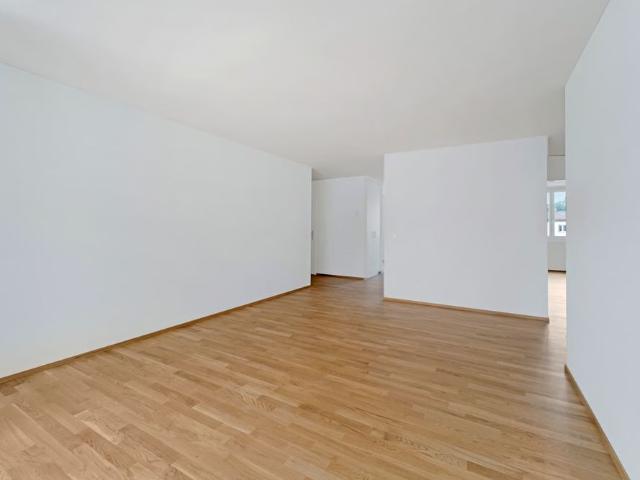 Apartment mieten in Root, Lü