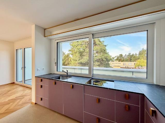 Apartment mieten in Einigen, Zürich