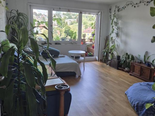Apartment mieten in Lü