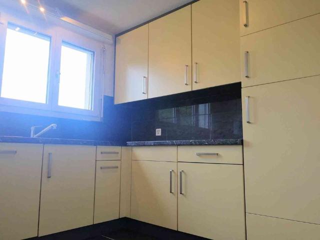 Apartment mieten in Beinwil am See, Aargau