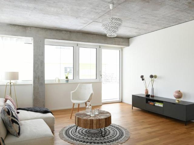 Apartment mieten in Windisch, Aargau