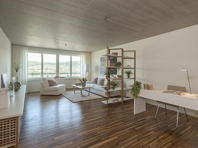Apartment mieten in Schlieren, Zürich
