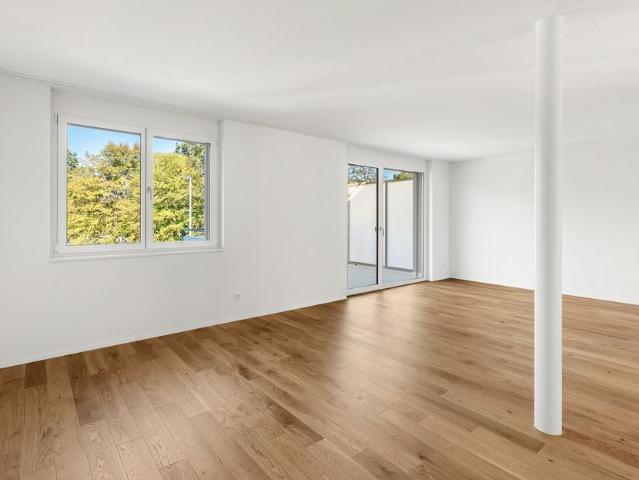 Apartment mieten in Blüemliquartier, Dietikon