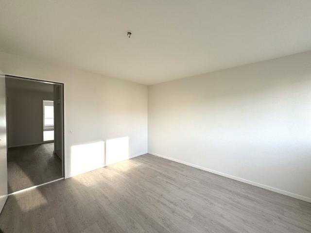Apartment mieten in Olten, Solothurn