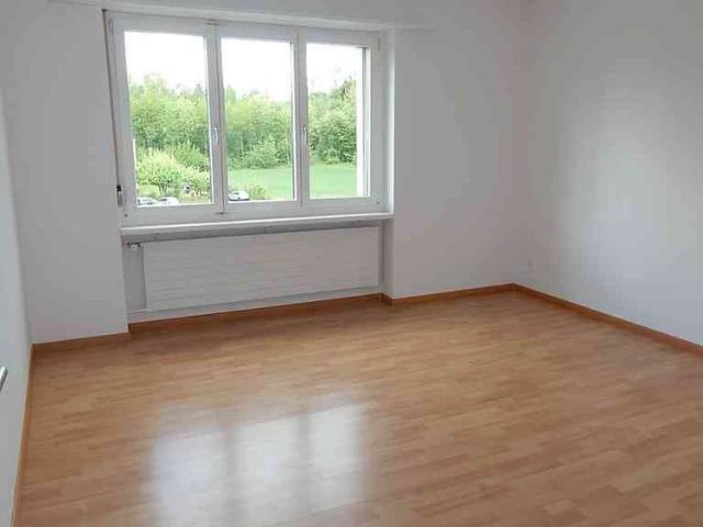 Apartment mieten in Rudolfstetten, Aargau