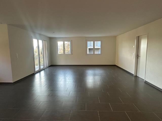 Apartment mieten in Leimbach, Zürich