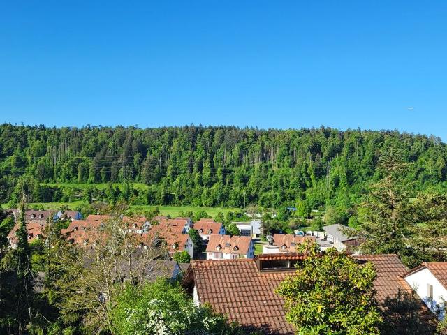 Apartment mieten in Glattfelden, Zürich