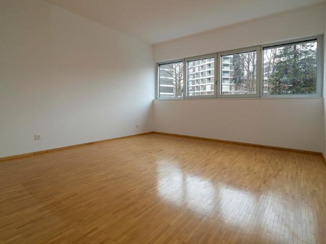 Apartment mieten in Massagno, Tessin