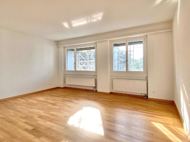 Apartment mieten in Obfelden, Zürich