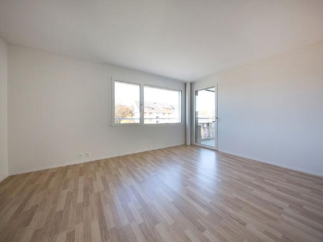 Apartment mieten in Wangen bei Olten, Solothurn