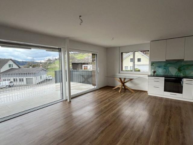 Apartment mieten in Lü