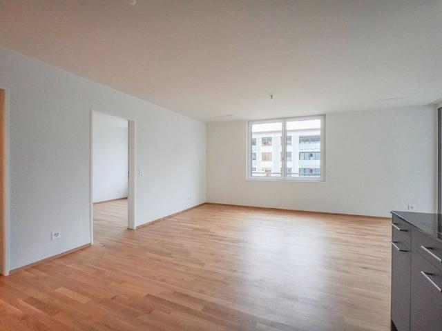 Apartment mieten in Liestal, Basel-Landschaft