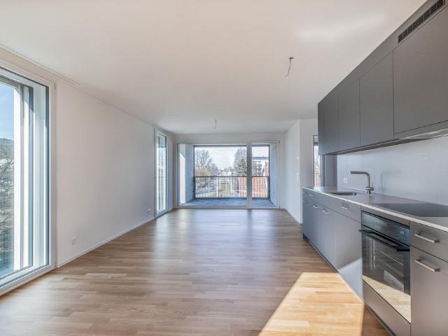 Apartment mieten in Einigen, Zürich