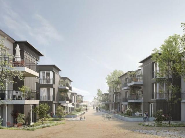 Apartment mieten in Schinznach Dorf, Aargau