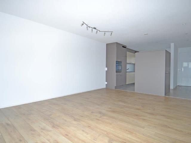 Apartment mieten in Hendschiken, Aargau