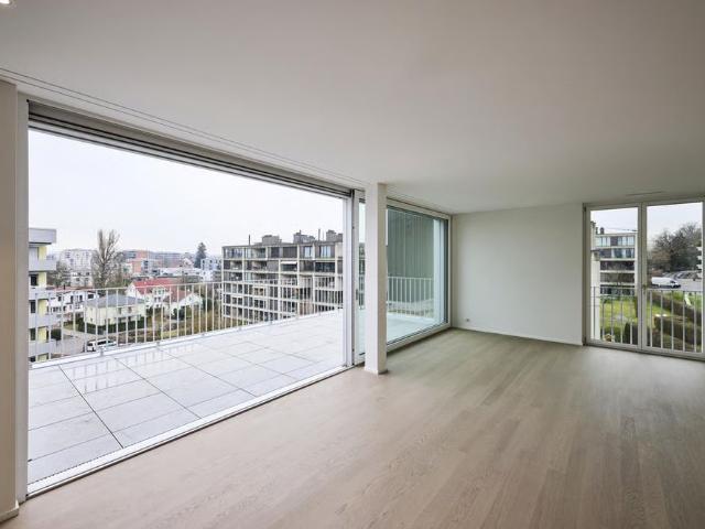 Apartment mieten in Einigen, Zürich