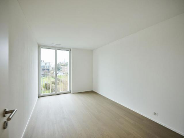 Apartment mieten in Einigen, Zürich