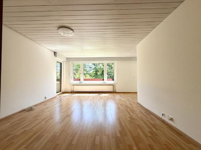 Apartment mieten in Reinach (BL), Basel-Landschaft