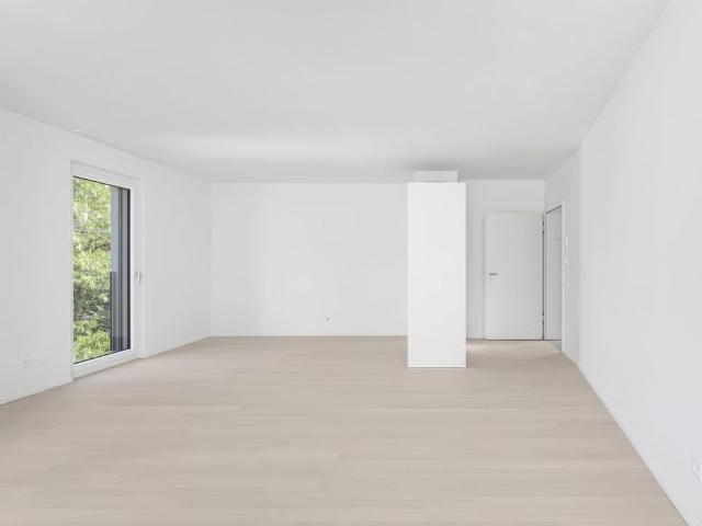 Apartment mieten in Bellinzona, Tessin