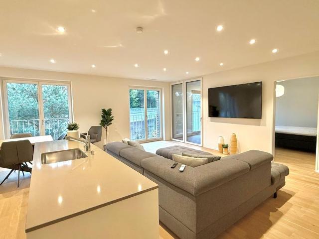 Apartment mieten in Altstadt, Luzern