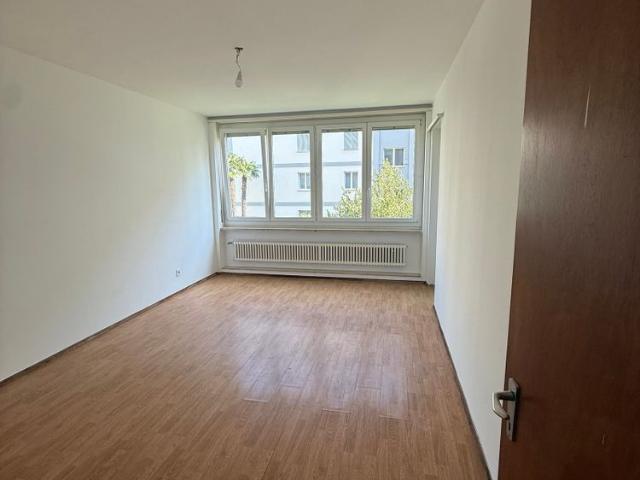 Apartment mieten in Locarno Monti, Locarno