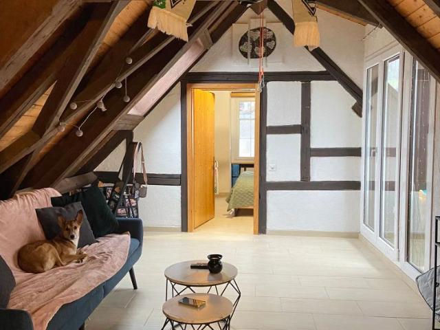 Apartment mieten in Oberdorf, Glarus